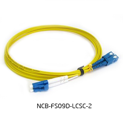 Dlink Patch Cord NCB FS09D SCSC 1